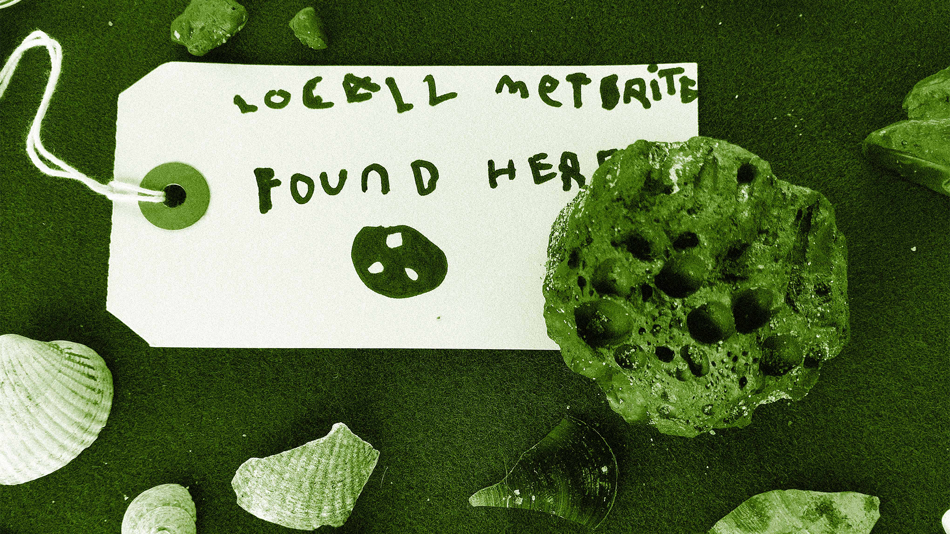 A label reading "Local Meteorite Found Here" next to a dark, porous rock and various seashells.
